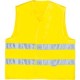 Gilp2 (25 Pz) Versione Gialla