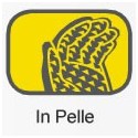 In Pelle